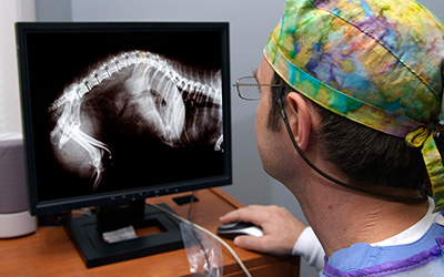Digital Radiology