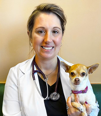 veterinarian, fredericksburg