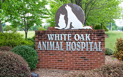 fredericksburg veterinary care