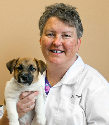 fredericksburg veterinarian